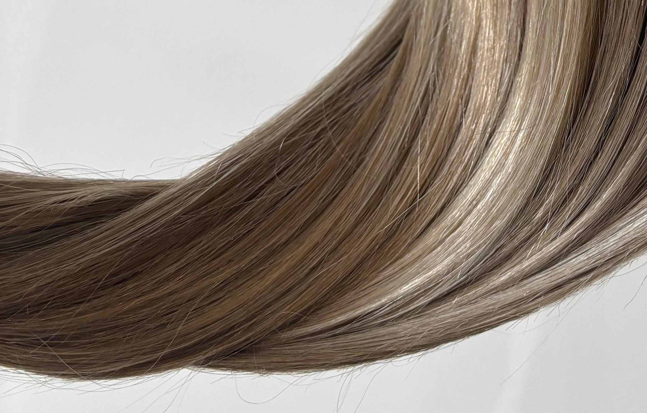 Close-up of beige blonde hair strands on a white background